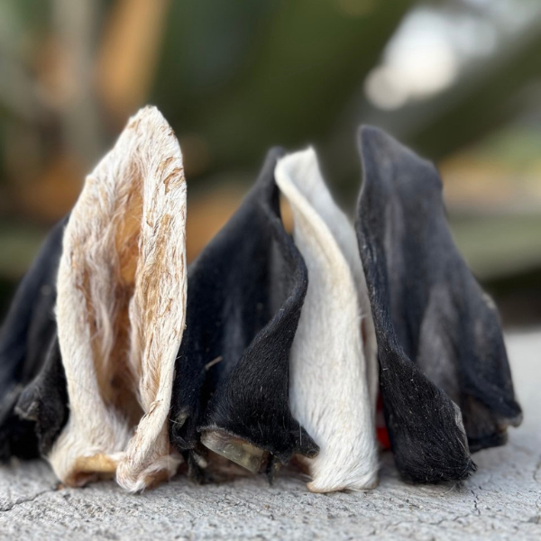 Oreja de res