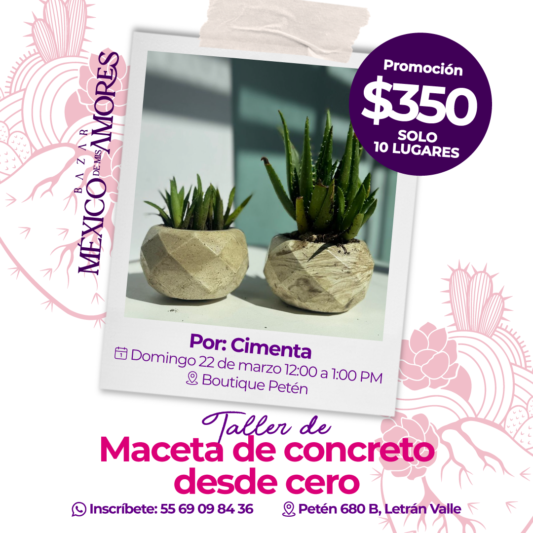 Taller Maceta de concreto desde cero